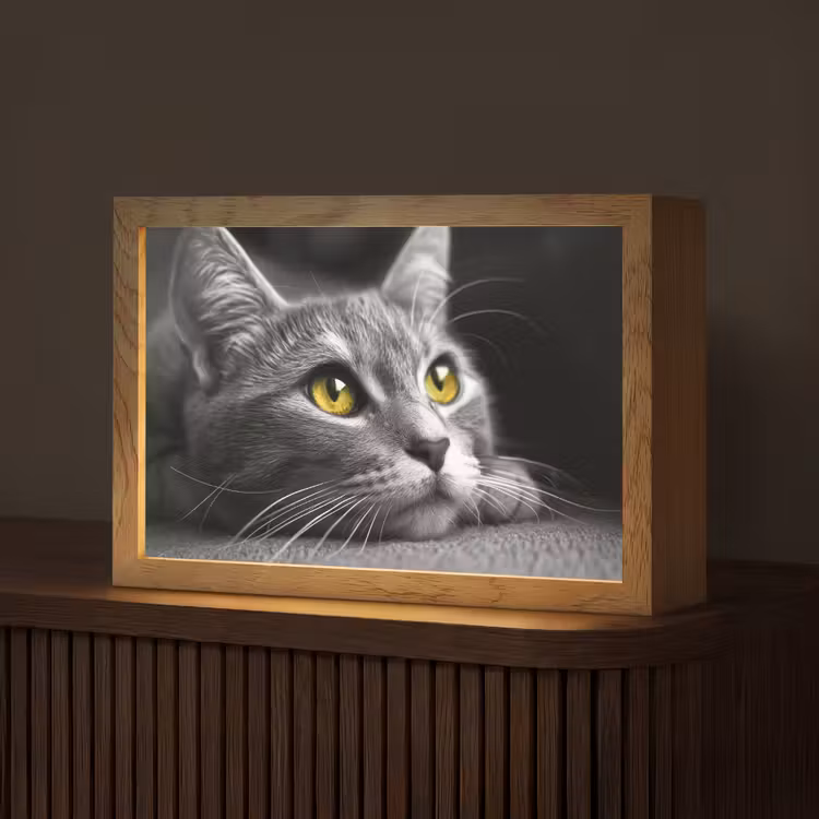 Kat - Zwart - Wit - Dieren - Natuur Light Box met kabel (Tafellamp) klein -z3d_website