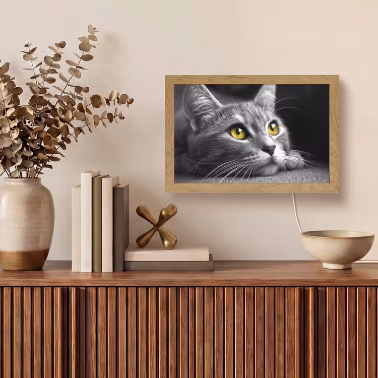 Kat - Zwart - Wit - Dieren - Natuur Light Box met kabel (Tafellamp) klein -sfeer2