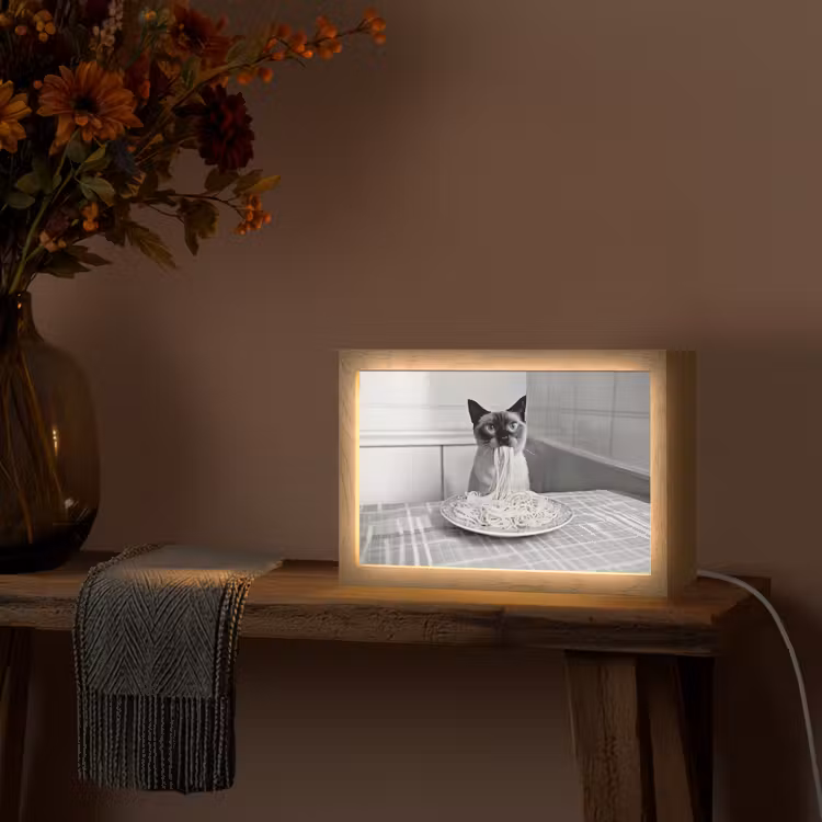 Kat - Siamees - Zwart Wit - Schattig - Dieren Light Box met kabel (Tafellamp) klein -sfeer4