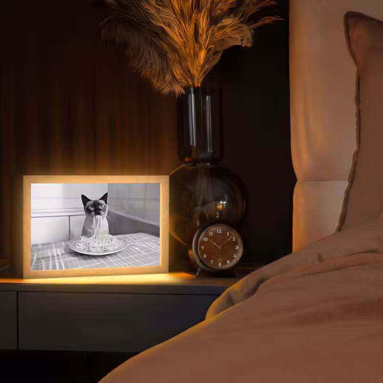 Kat - Siamees - Zwart Wit - Schattig - Dieren Light Box met kabel (Tafellamp) klein -sfeer1