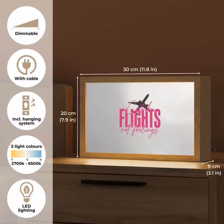 Catch flights not feelings - Vliegtuig - Roze Light Box met kabel (Tafellamp) klein -USP_EN