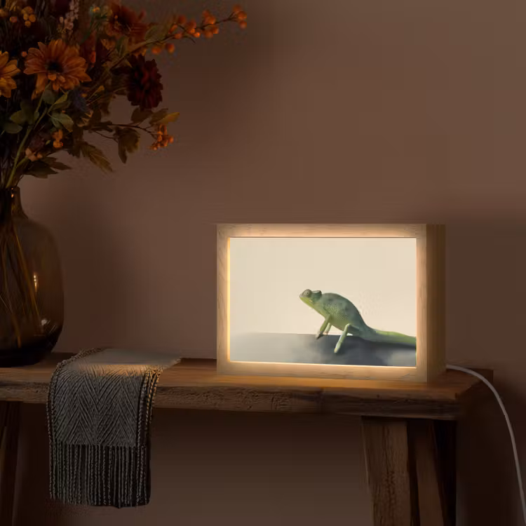 Kameleon - Groen - Minimalistisch Light Box met kabel (Tafellamp) klein -sfeer4