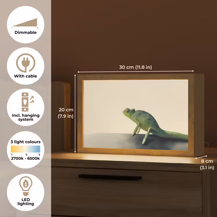 Kameleon - Groen - Minimalistisch Light Box met kabel (Tafellamp) klein -USP_EN