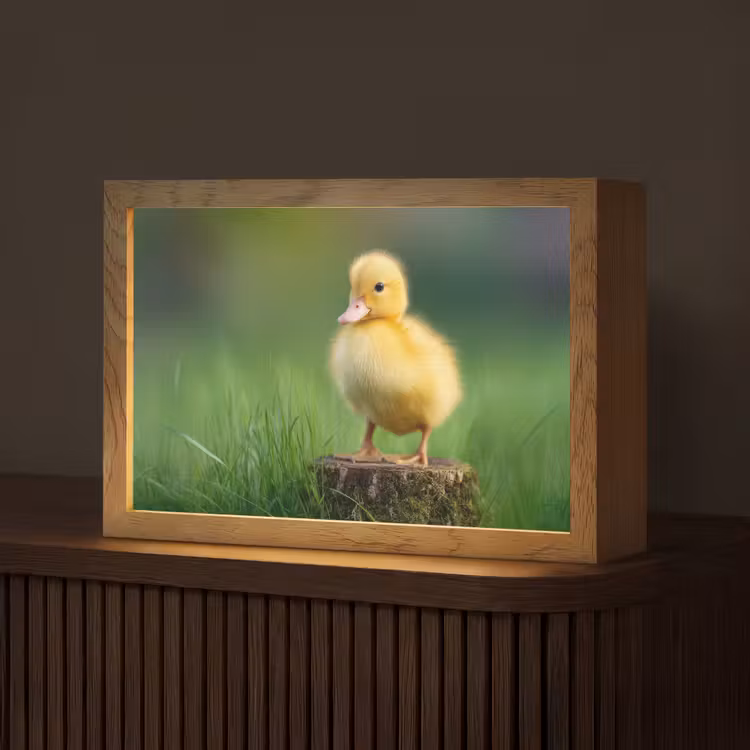 Kuiken - Eend - Geel - Gras Light Box met kabel (Tafellamp) klein -z3d_website