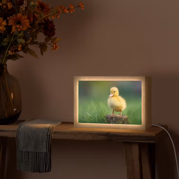 Kuiken - Eend - Geel - Gras Light Box met kabel (Tafellamp) klein -sfeer4