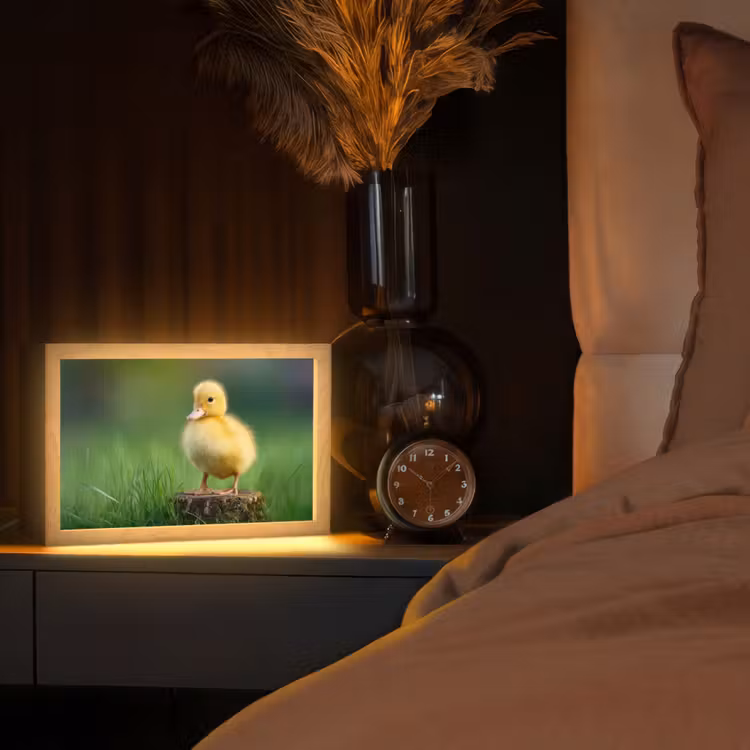 Kuiken - Eend - Geel - Gras Light Box met kabel (Tafellamp) klein -sfeer1
