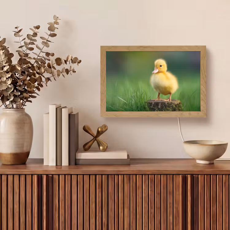 Kuiken - Eend - Geel - Gras Light Box met kabel (Tafellamp) klein -sfeer2