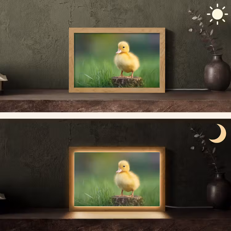 Kuiken - Eend - Geel - Gras Light Box met kabel (Tafellamp) klein -sfeer3