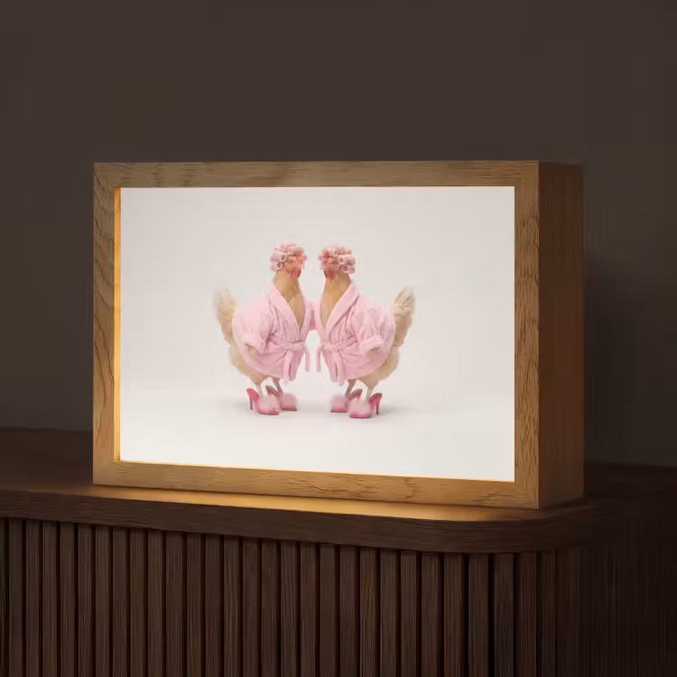 Kippen - Badjas - Krukspelden - Hakken Light Box met kabel (Tafellamp) klein -z3d_website