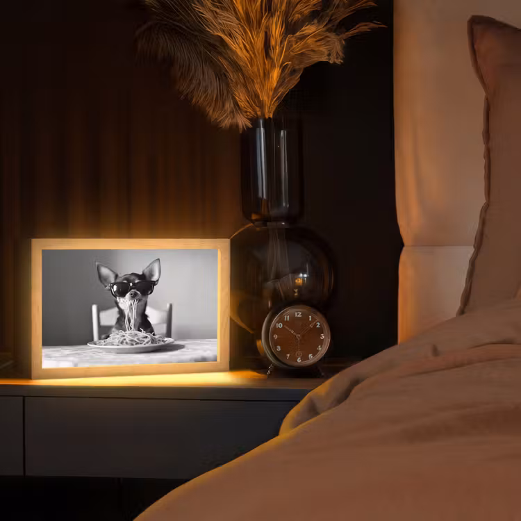 Chihuahua - Hond - Zonnebril - Humoristisch - Zwart - Wit - Spaghetti Light Box met kabel (Tafellamp) klein -sfeer1