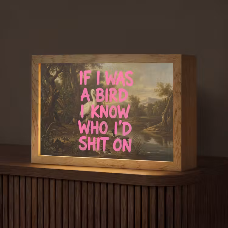 Klassiek - Humor - Roze Light Box met kabel (Tafellamp) klein -z3d_website