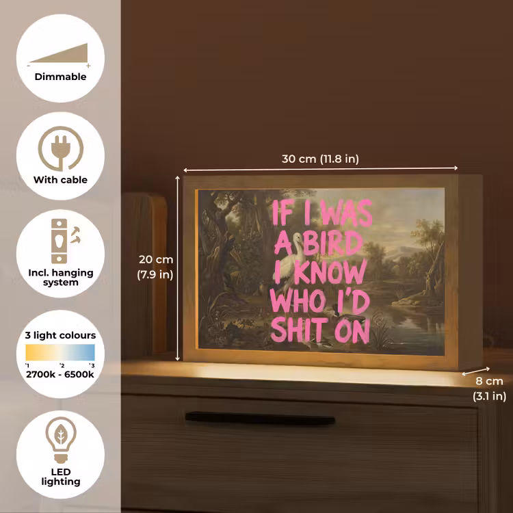 Klassiek - Humor - Roze Light Box met kabel (Tafellamp) klein -USP_EN