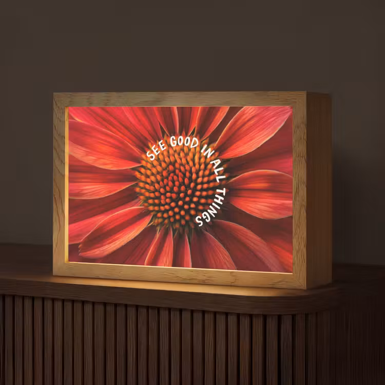 Close up - Bloem - Quote - Rood Light Box met kabel (Tafellamp) klein -z3d_website