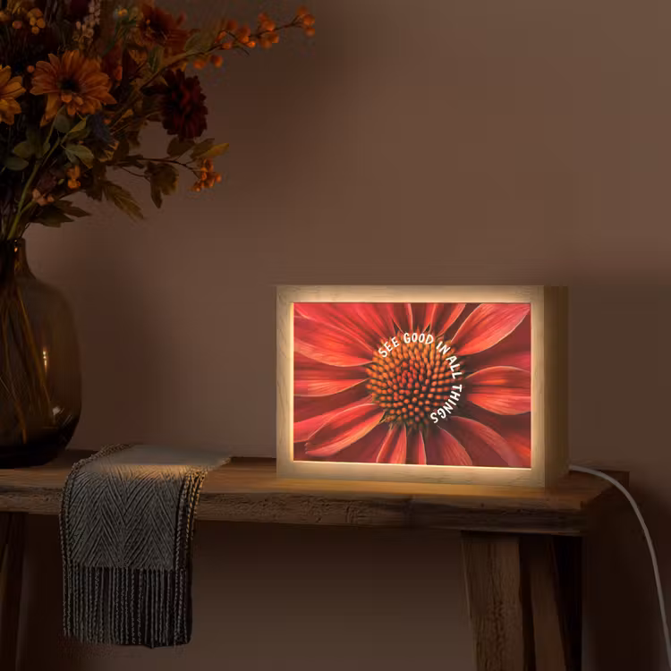Close up - Bloem - Quote - Rood Light Box met kabel (Tafellamp) klein -sfeer4