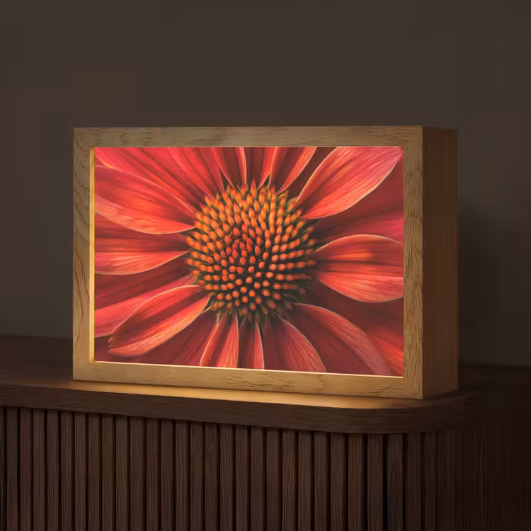 Close up - Bloem- Rood Light Box met kabel (Tafellamp) klein -z3d_website