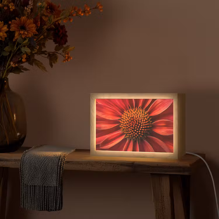 Close up - Bloem- Rood Light Box met kabel (Tafellamp) klein -sfeer4