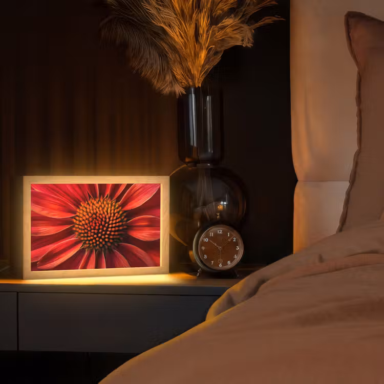 Close up - Bloem- Rood Light Box met kabel (Tafellamp) klein -sfeer1