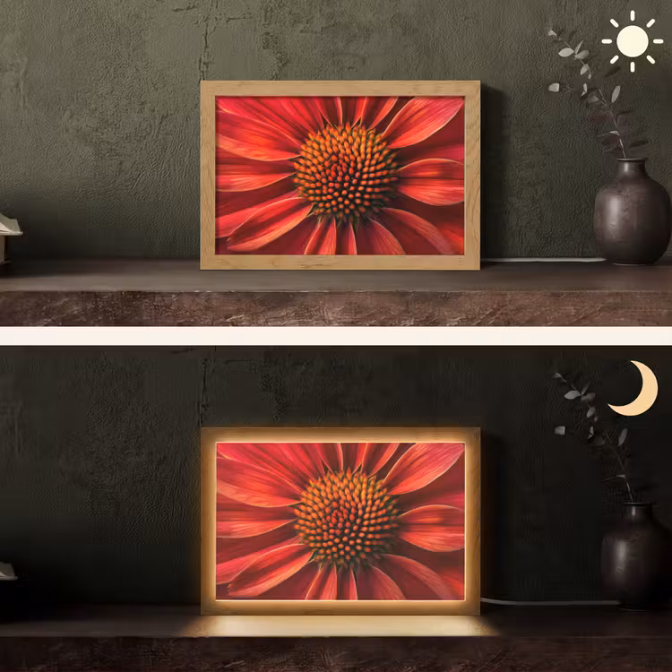 Close up - Bloem- Rood Light Box met kabel (Tafellamp) klein -sfeer3
