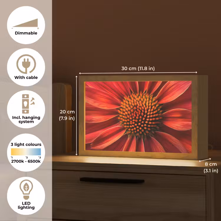 Close up - Bloem- Rood Light Box met kabel (Tafellamp) klein -USP_EN