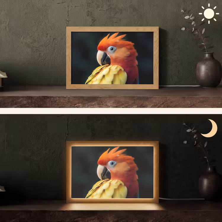 Close-up - Papegaai - Veren - Oranje Light Box met kabel (Tafellamp) klein -sfeer3
