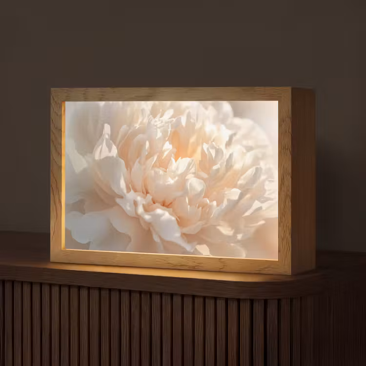 Close up - Pioenroos - Lichtroze Light Box met kabel (Tafellamp) klein -z3d_website
