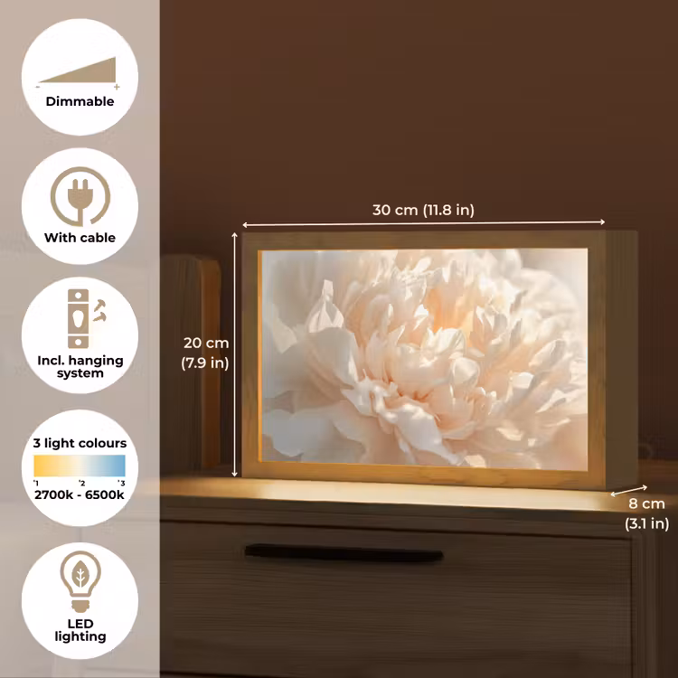 Close up - Pioenroos - Lichtroze Light Box met kabel (Tafellamp) klein -USP_EN