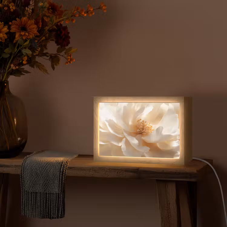 Close up - Pioenroos - Wit Light Box met kabel (Tafellamp) klein -sfeer4