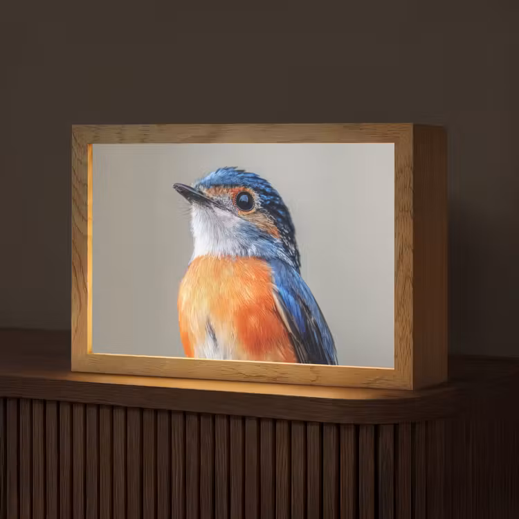 Kleurrijk - Vogeltje - Veren - Blauw Light Box met kabel (Tafellamp) klein -z3d_website