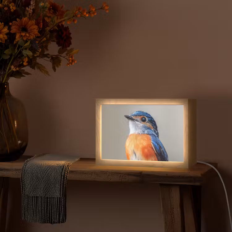 Kleurrijk - Vogeltje - Veren - Blauw Light Box met kabel (Tafellamp) klein -sfeer4
