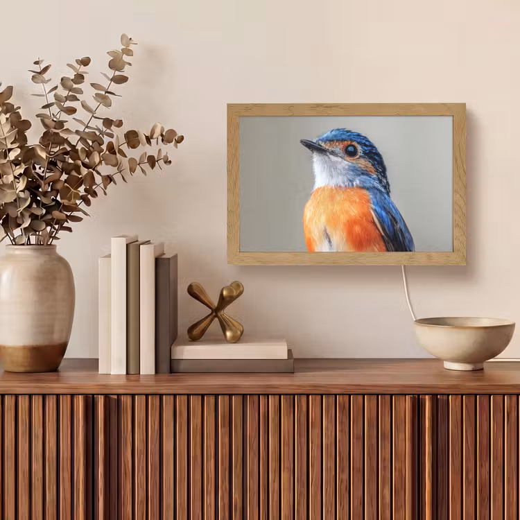 Kleurrijk - Vogeltje - Veren - Blauw Light Box met kabel (Tafellamp) klein -sfeer2