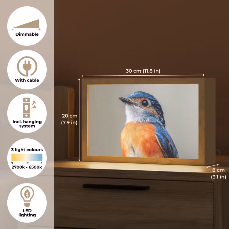Kleurrijk - Vogeltje - Veren - Blauw Light Box met kabel (Tafellamp) klein -USP_EN