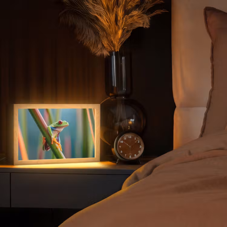 Kleurrijke kikker - Groene stengel - Alert Light Box met kabel (Tafellamp) klein -sfeer1