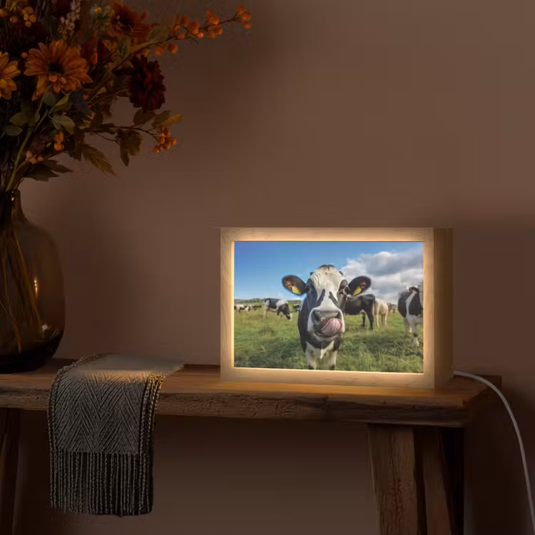 Koe - Tong - Weide Light Box met kabel (Tafellamp) klein -sfeer4