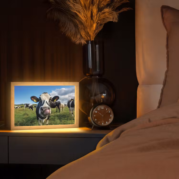 Koe - Tong - Weide Light Box met kabel (Tafellamp) klein -sfeer1