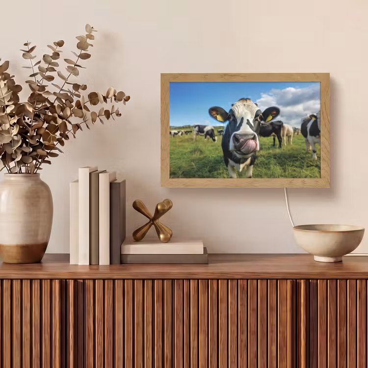 Koe - Tong - Weide Light Box met kabel (Tafellamp) klein -sfeer2