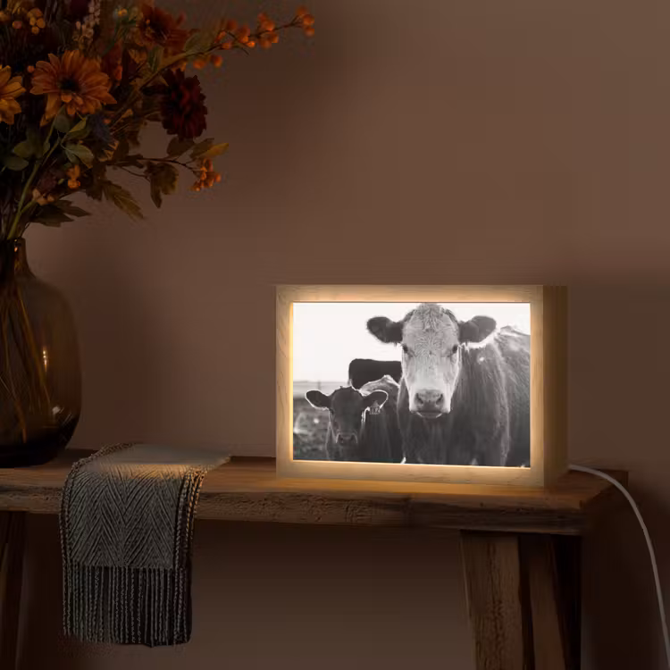 Koeien - Zwart - Wit Light Box met kabel (Tafellamp) klein -sfeer4