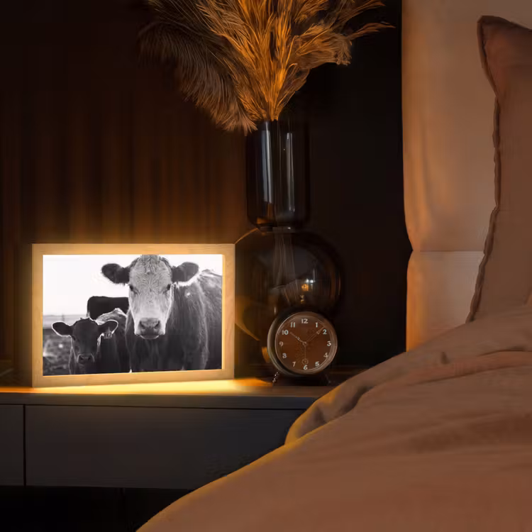 Koeien - Zwart - Wit Light Box met kabel (Tafellamp) klein -sfeer1