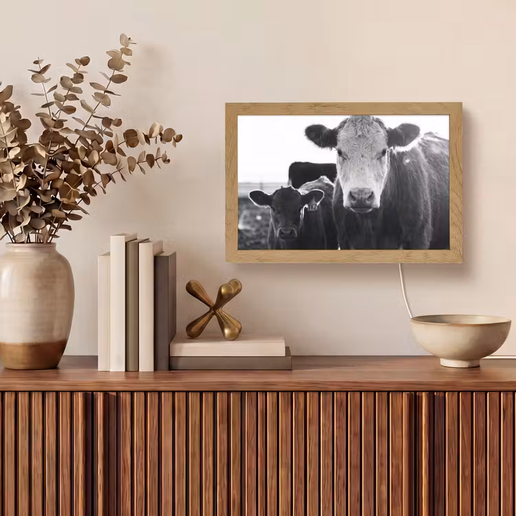 Koeien - Zwart - Wit Light Box met kabel (Tafellamp) klein -sfeer2