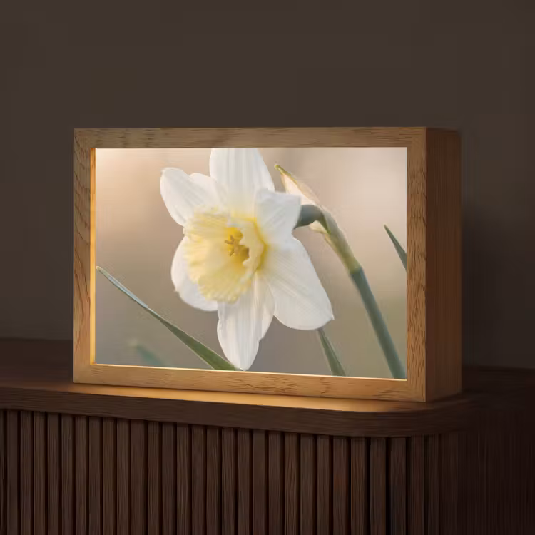 Narcis - Bloem - Minimalistisch Light Box met kabel (Tafellamp) klein -z3d_website