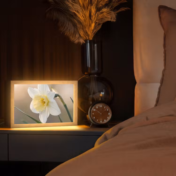 Narcis - Bloem - Minimalistisch Light Box met kabel (Tafellamp) klein -sfeer1