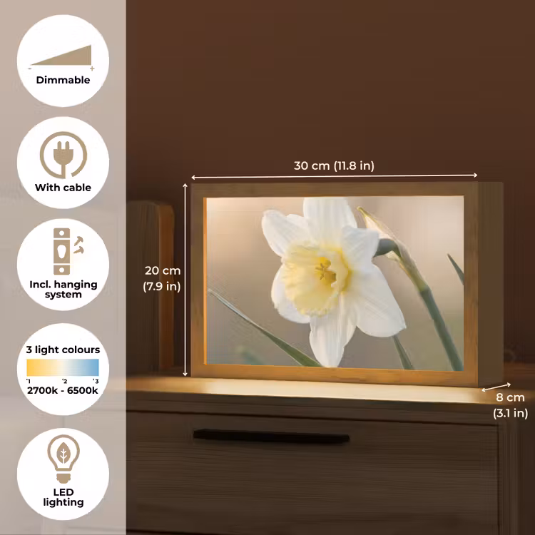 Narcis - Bloem - Minimalistisch Light Box met kabel (Tafellamp) klein -USP_EN