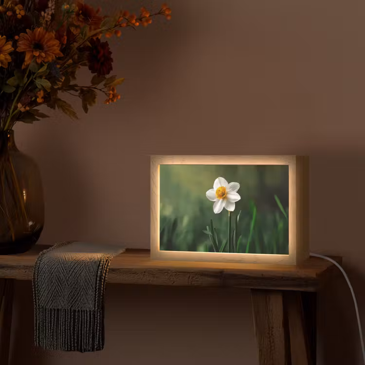 Narcis - Bloem - Wit - Grassprieten Light Box met kabel (Tafellamp) klein -sfeer4