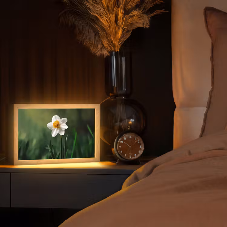 Narcis - Bloem - Wit - Grassprieten Light Box met kabel (Tafellamp) klein -sfeer1