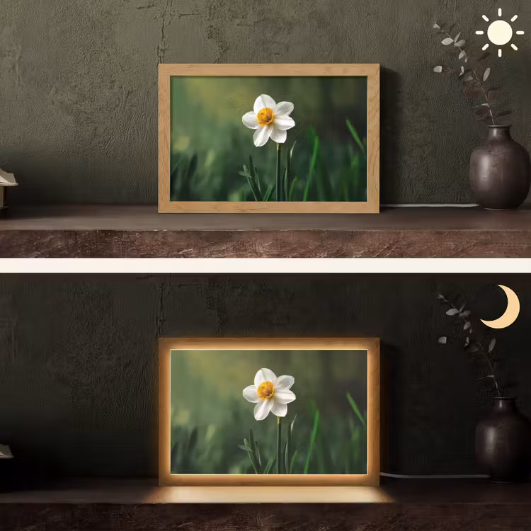 Narcis - Bloem - Wit - Grassprieten Light Box met kabel (Tafellamp) klein -sfeer3