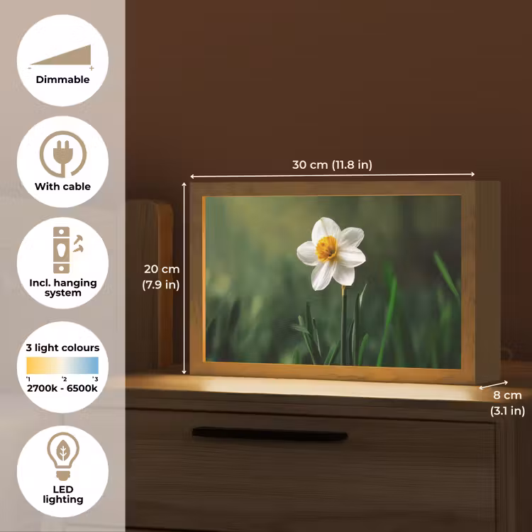 Narcis - Bloem - Wit - Grassprieten Light Box met kabel (Tafellamp) klein -USP_EN