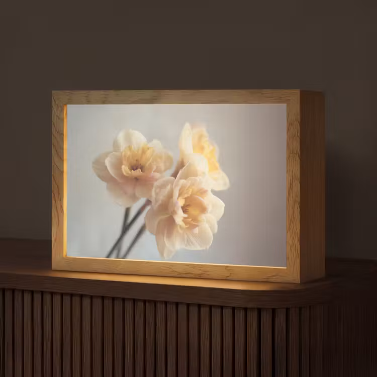 Narcissen - Geel - Bloemblaadjes Light Box met kabel (Tafellamp) klein -z3d_website
