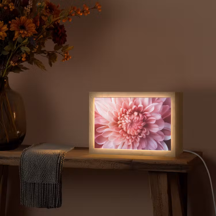 Dahlia - Bloem - Close up - Roze Light Box met kabel (Tafellamp) klein -sfeer4