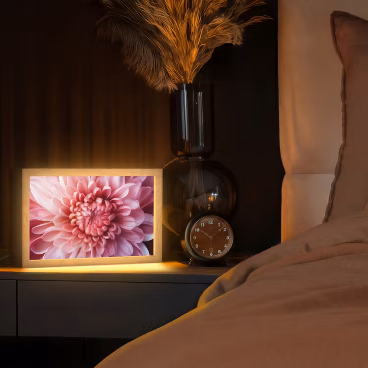 Dahlia - Bloem - Close up - Roze Light Box met kabel (Tafellamp) klein -sfeer1
