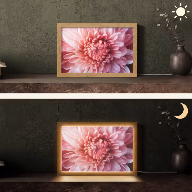 Dahlia - Bloem - Close up - Roze Light Box met kabel (Tafellamp) klein -sfeer3