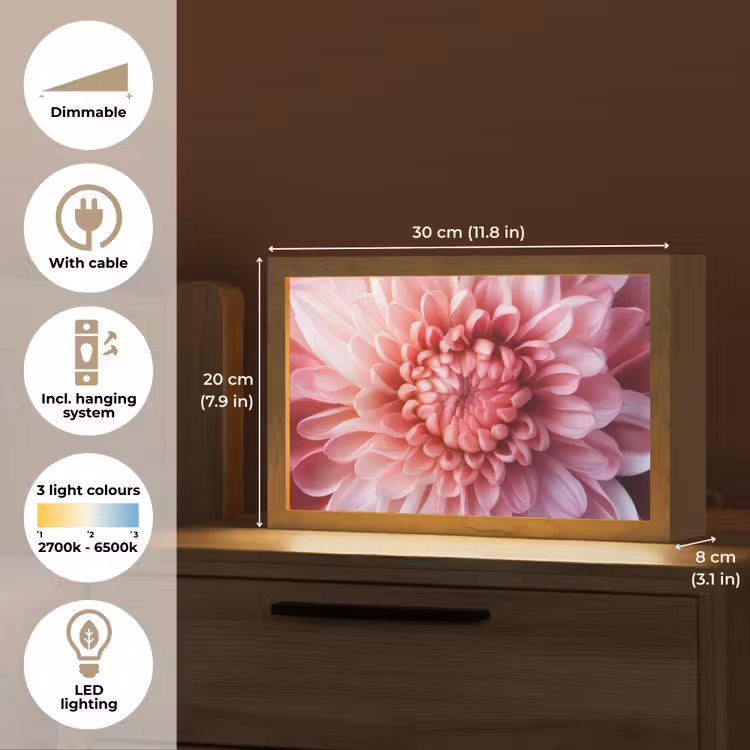 Dahlia - Bloem - Close up - Roze Light Box met kabel (Tafellamp) klein -USP_EN